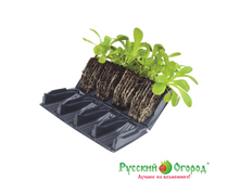 ����������������� 32 ������ - 355 ���. 