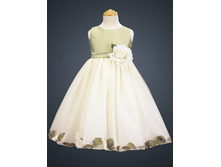 ������ � ���������� ���3