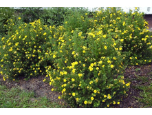 �������� ���������� 170,0