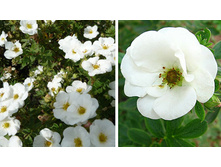 �������� ����� ������� 170,0