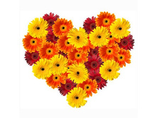 ������ �� ������