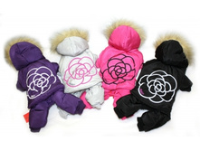 ���������� Flo , 430�.jpg