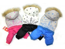 ���������� Snow, 430�.jpg