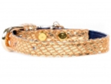 ������� ����� �������, 260�.jpg