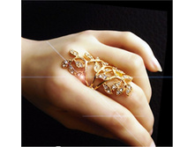 ������ � ��������.jpg