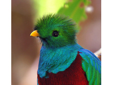 ������ ������.jpg