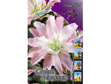 66,6���. ����� ���� ������ (�������� ���� �� 5 ��., ����������� ����� 1��.).jpg