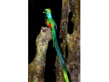 ������ ������ ������ ���������.jpg