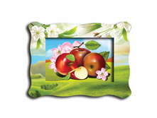 0212-a ������.jpg