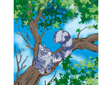 ��������� ����������