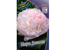 128,8���.���� ����� ������� (�������� ���� �� 2 ��., ����������� ����� 1��.).jpg