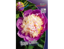 164,85���.���� ���� ����� (�������� ���� �� 2 ��., ����������� ����� 1��.).jpg