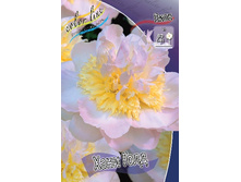 201,85���.���� ���� ���� (�������� ���� �� 2 ��., ����������� ����� 1��.).jpg