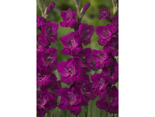 6,07���.��������� �����,������10-12 (���������� ������ ������ ���������� �� 10 ��.).jpg