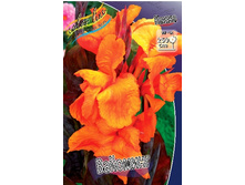 41,75���.����� (������) �������� (�������� ���� �� 2 ��., ����������� ����� 1��.).jpg