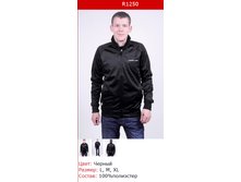 480� ��������� ������� R1250.png