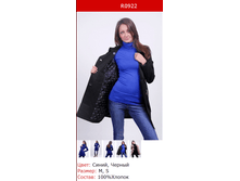 1009 � R0922 ������.png