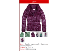 1034� ������ �������.png