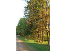 � ����� ������� ����