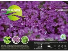 ������� ����� �� ���������.jpg