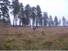 DSCN3894.JPG
