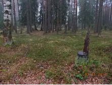 DSCN3901.JPG