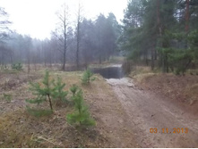 DSCN3905.JPG
