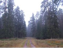 DSCN3908.JPG