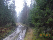 DSCN3909.JPG