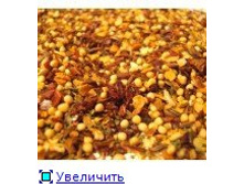  ��������� �������� �������