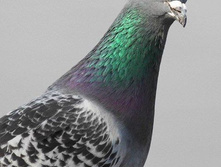 ����, �� ����� ������.jpg