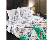 6127414_��������� ������.jpg