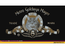 Metro Goldwin Mayer Logo - ���� Style