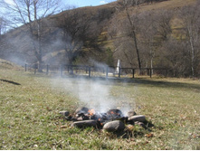 ��������� ���������� ����������