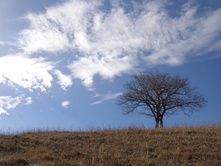 �������� ������