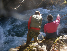 �.����. ������� ��������� �����������