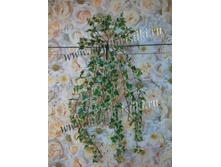 116 ���. ���� ��������� � ������������ ���������,.jpg