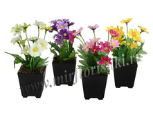 135 ���. ���������� � �������� �������. ������� 6 �� 6 �� 16.jpg