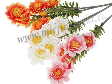 179 ���. ���� ������ �������, 5 �������..jpg