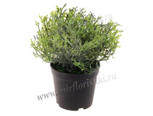 181 ���. � �������� 14 ��..jpg