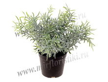 196 ���. ������ � �������� 17 ��..jpg