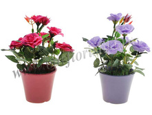 243 ���. �� 1 ��������. ���� � ��������. ������� � ������������.jpg