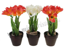 243 ���. ����� � ������������ ��������.jpg