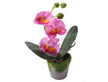 247 ���. ������� � ��������.jpg