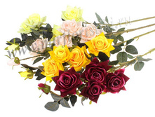 250 ���. ���� ��� 5 �������. ������ 110 ��, ������� ������ 13 ��.jpg