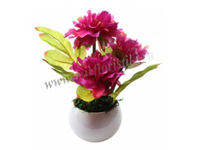 261 ���. ����� � ������� ������������ �������� ��������.jpg