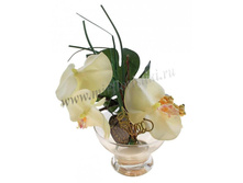 270 ���. ������� ����� � ���������� ����.jpg