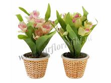 275 ���. ��������� ���������� � �������� ������������ 25 ��.jpg