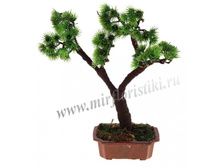 3004 ���. ������ ����� - 1..jpg