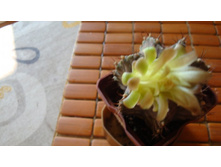 �������������